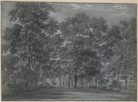 U+ 024
          <br/>
          Een weg door een bos
          <br/>
          <em>Haagen, Joris van der (ca.1615-1669)</em>